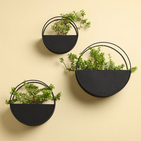 Dudki Metal Round Wall Hanging Planter - Set Of 3